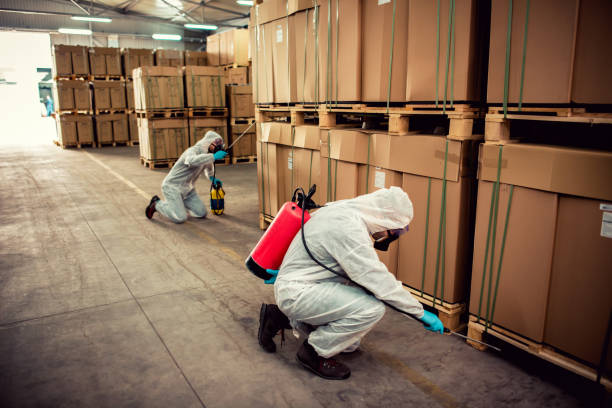 Best Rat Extermination Near Me  in Lockeford, CA
