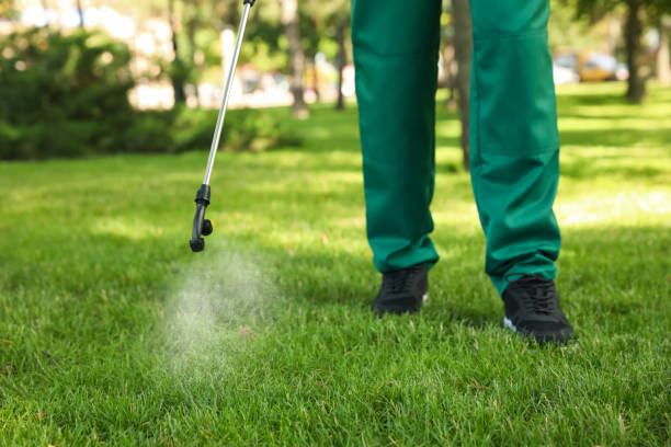 Best Pest Prevention Services  in Lockeford, CA