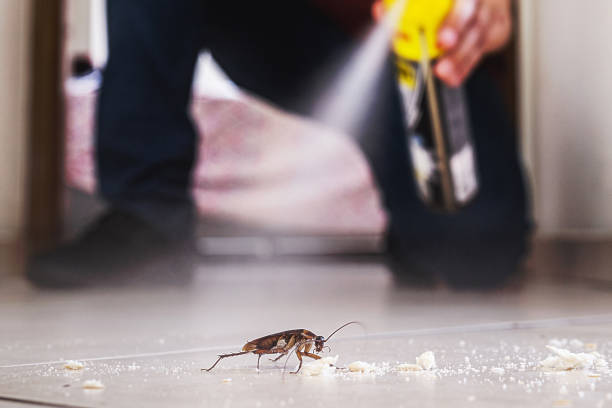 Lockeford, CA Pest Control Company